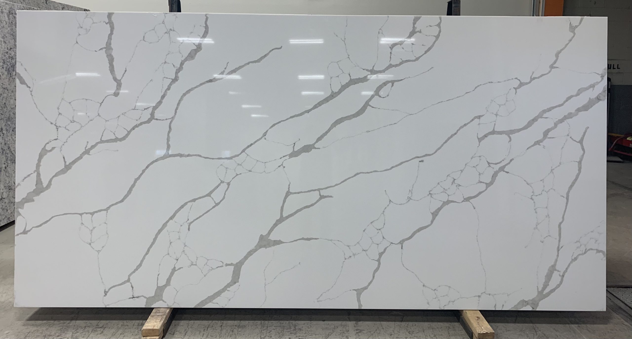 Calacatta Nova Quartz