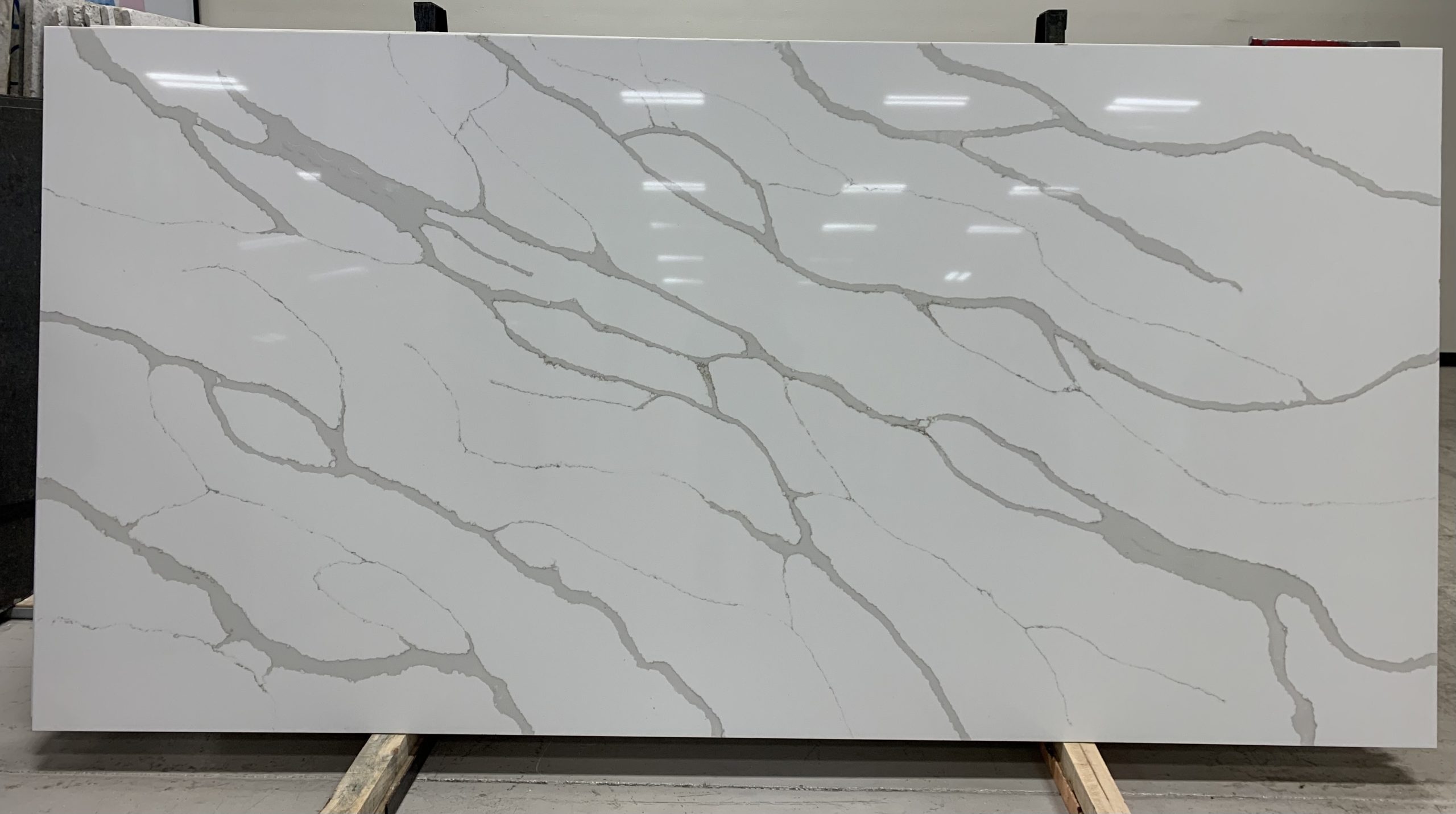 Calacatta Tan Quartz