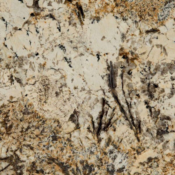 Caravelas Gold Granite - Image 3