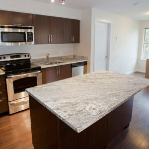 Andino White Granite