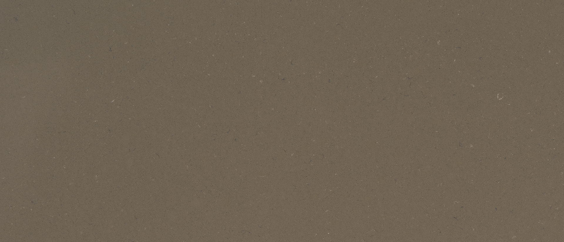 Fossil Brown Quartz - Image 2