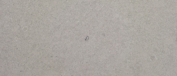 Fossil Gray Quartz - Image 2